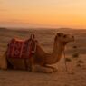 Ultimate Guide to Agafay Desert Day Trips